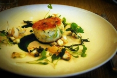 Suspect squid burger